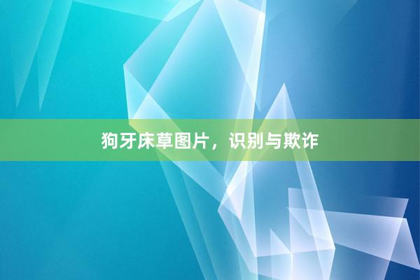 狗牙床草图片，识别与欺诈