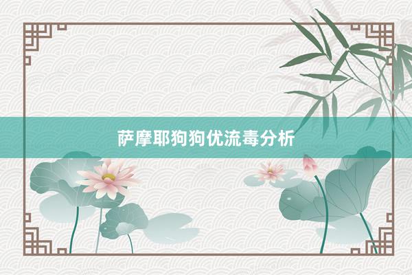 萨摩耶狗狗优流毒分析