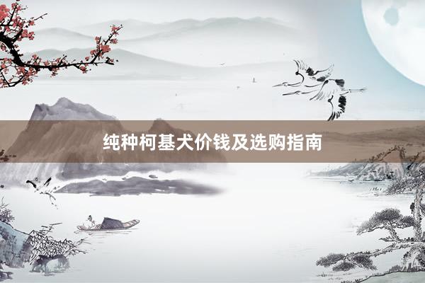 纯种柯基犬价钱及选购指南